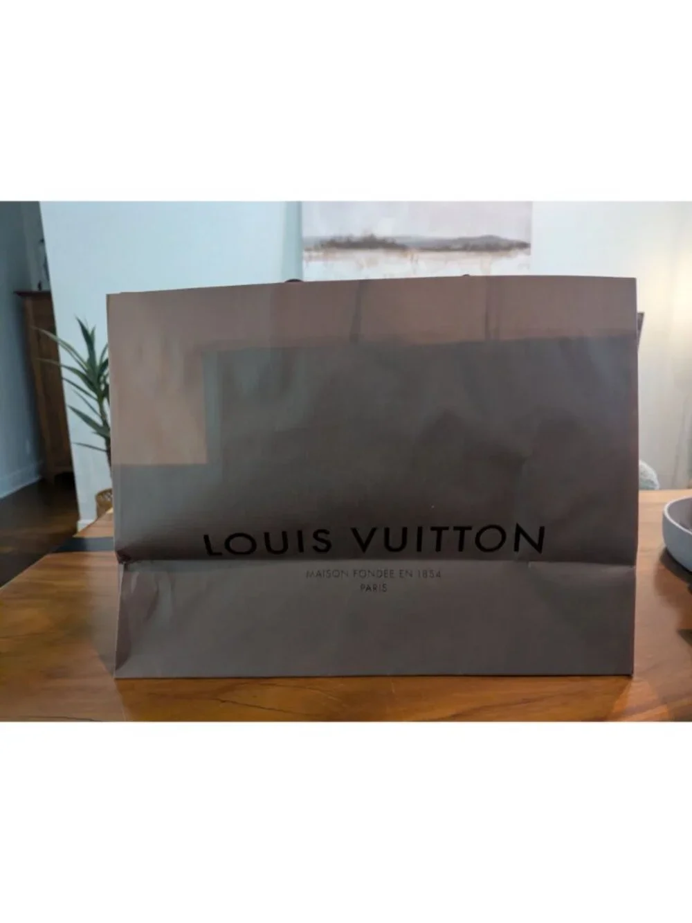 Louis Vuitton authentic louis
